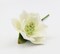Ceramic Magnolia Flower with Stem, Home Décor, Gift for Her, Gift for Mom, Wedding Decor